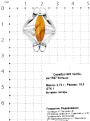 Кольцо из серебра с прес.нат.янтарём родированное