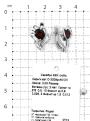 Серьги из серебра с нат.гранатом и фианитами родированные