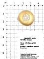 Кольцо из родированного серебра с куб. цирконием и позолотой