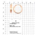 Серьги-конго из золочёного серебра с алмазной огранкой - диаметр 2 см