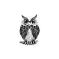 Брошь из серебра с фианитами родированная - Сова 2,5х1,5см