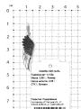 Подвеска из серебра родированная - Крыло