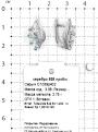 Серьги из серебра с нат.топазом и фианитами родированные