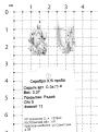 Серьги из серебра с фианитами родированные