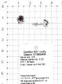 Серьги-пусеты из серебра с нат. гранатом родированные