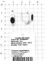 Серьги из серебра с нат. гранатом родированные