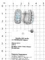 Серьги из серебра с нат. топазом и фианитами родированные