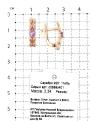 Серьги из золочёного серебра с нат. аметистом