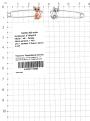 Булавка из серебра с фианитами и позолотой родированная - Кошки