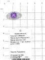 Кольцо из серебра с нат.аметистом родированное