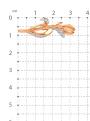 Брошь из золочёного серебра с фианитами и родированием