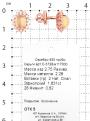Серьги-пусеты из золочёного серебра с нат.опалом и фианитами