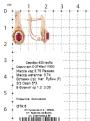 Серьги из золочёного серебра с нат.рубином и фианитами