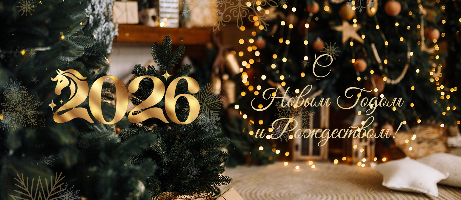С новым годом
